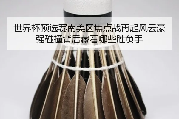 世界杯预选赛南美区焦点战再起风云豪强碰撞背后藏着哪些胜负手